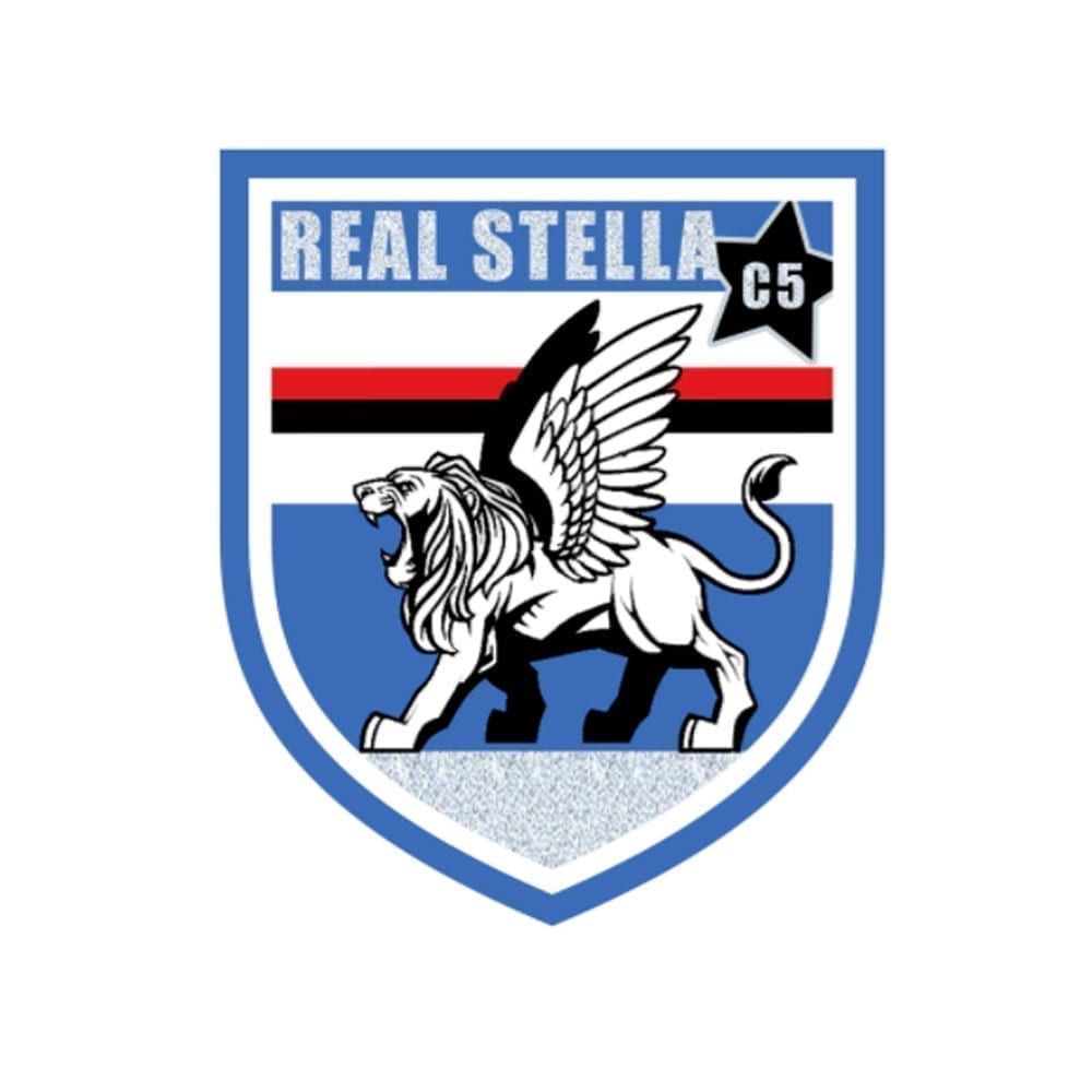 real stella calcio a 5 davide paccassoni mental coach certificato CMC Italia formazione per il successo