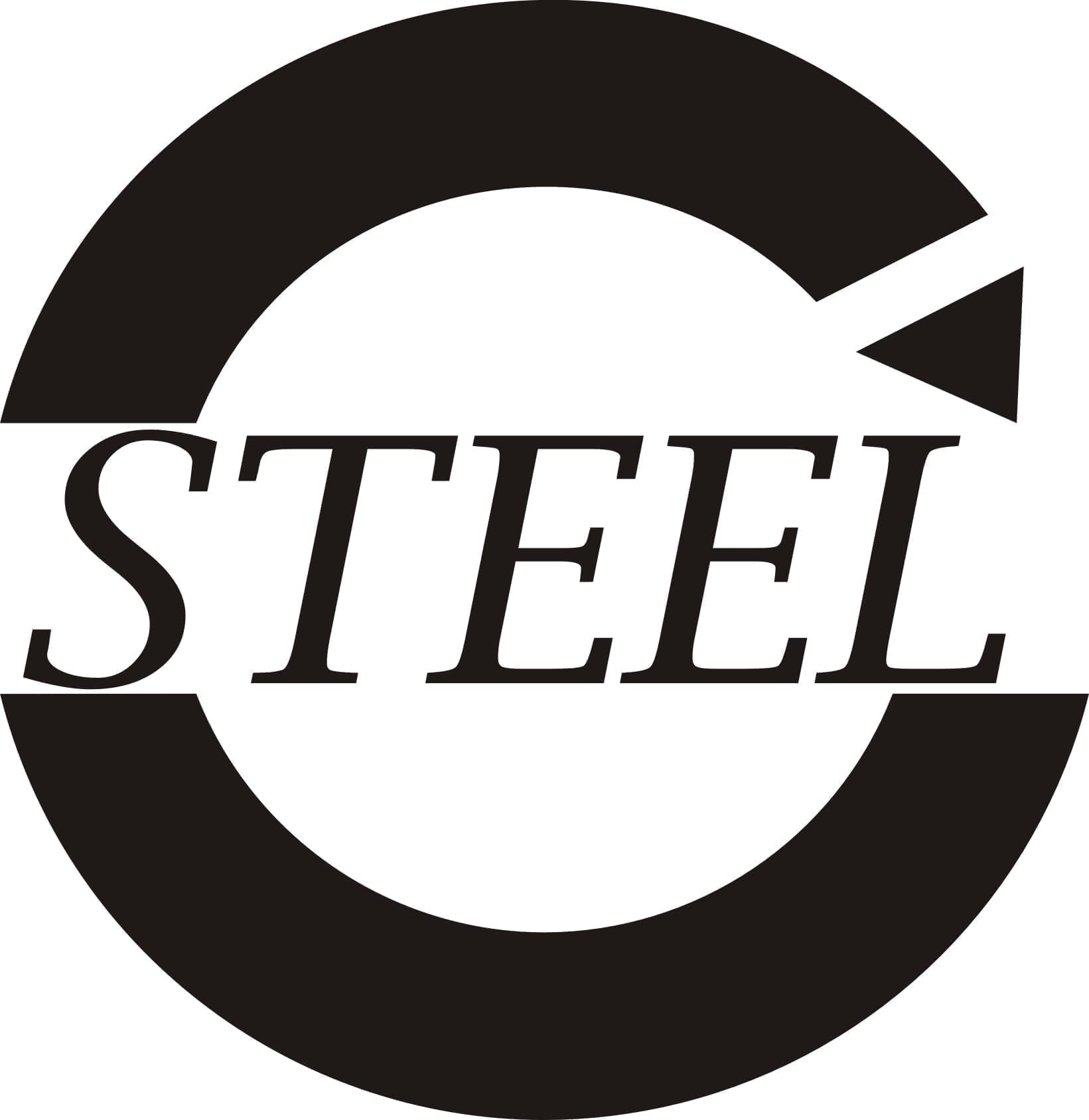 logo Steel Davide Paccassoni Mental coach certificato